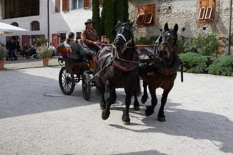 15Guided-vineyard-tour