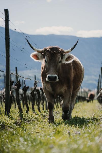 Summa-2022-FF-Auswahl-40