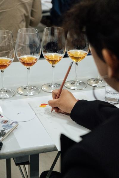 Meike-Hollnaicher-9810