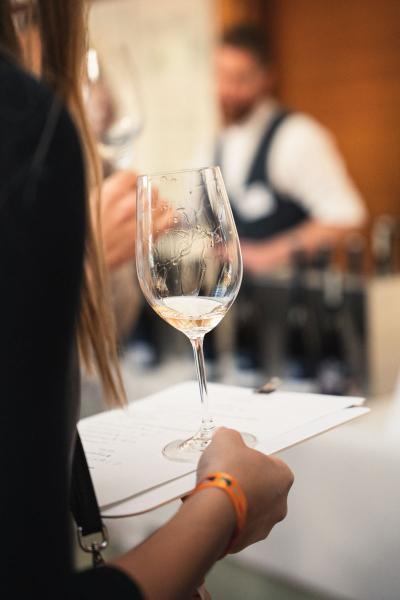 SUMMAJuliavonWenzl-20